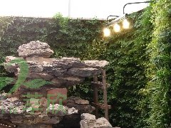 植物墙傅雷中学项目