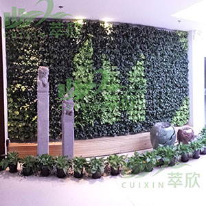 植物绿墙