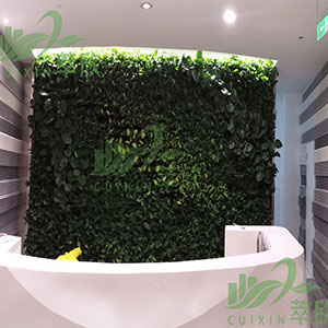 植物绿墙