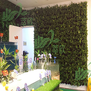 植物绿墙
