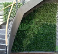 植物墙马路项目1