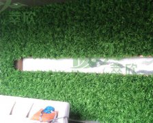 仿真植物墙案例