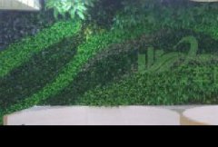 仿真植物墙案例