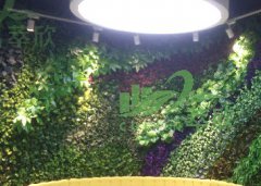 仿真植物墙案例