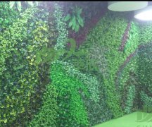 仿真植物墙案例
