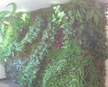 仿真植物墙案例