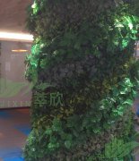 仿真植物墙案例