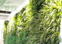植物墙案例