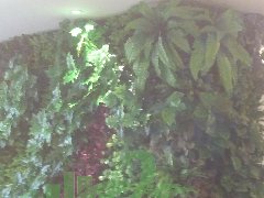 仿真植物墙案例