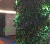 仿真植物墙案例