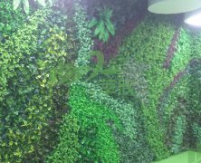 仿真植物墙案例