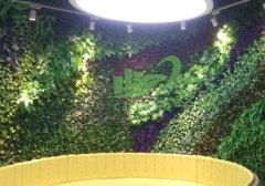 仿真植物墙案例