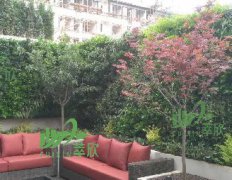 植物墙杭州别墅区样板工