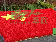 节日布置国庆